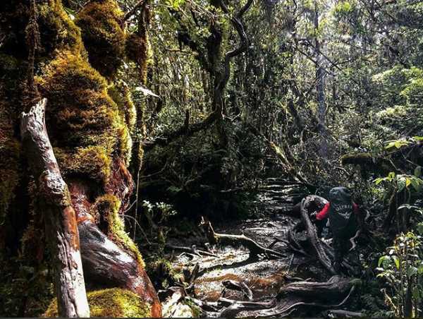 Misteri Alam Gaib Gunung Singgalang, Mitos yang Menjadi Bagian dari Sejarah Alam Sumatra Barat