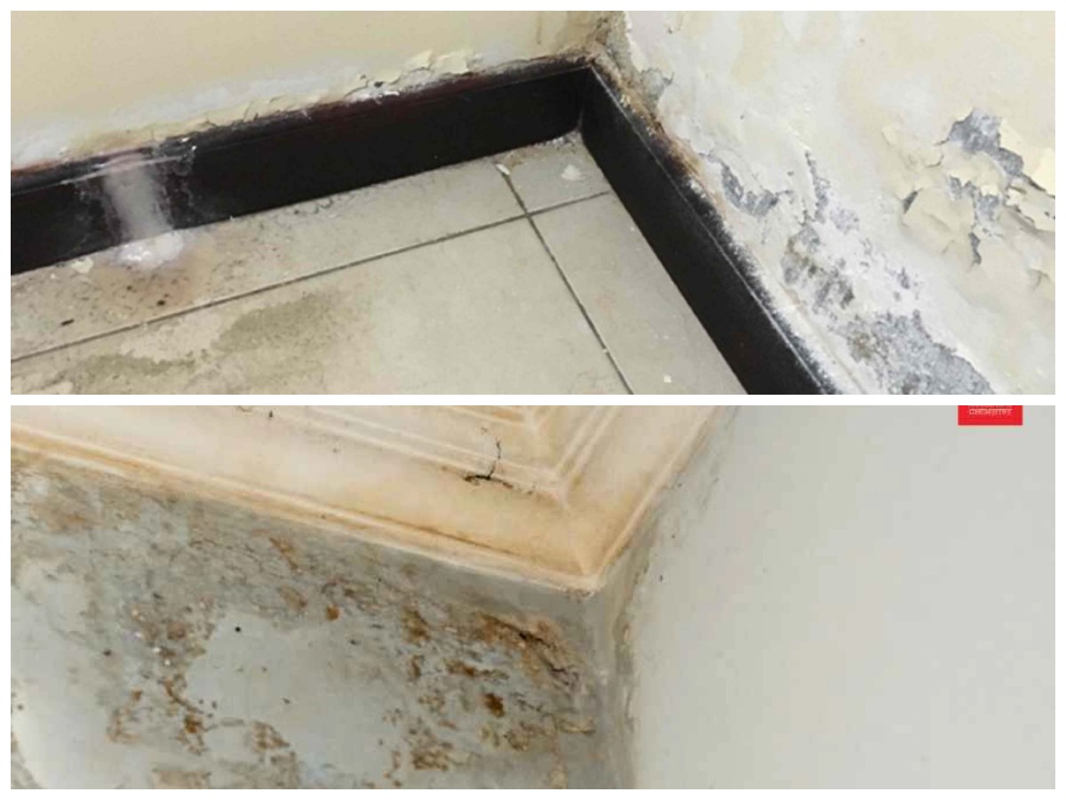 Dinding Rembes Tak Perlu Dibongkar! Ini 5 Cara Mudah Mengatasinya dengan Hasil Maksimal