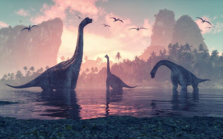 Penemuan Fosil Dinosaurus Baru Berusia 145 Juta Tahun, Ini Yang Didapatkan Para Peneliti!