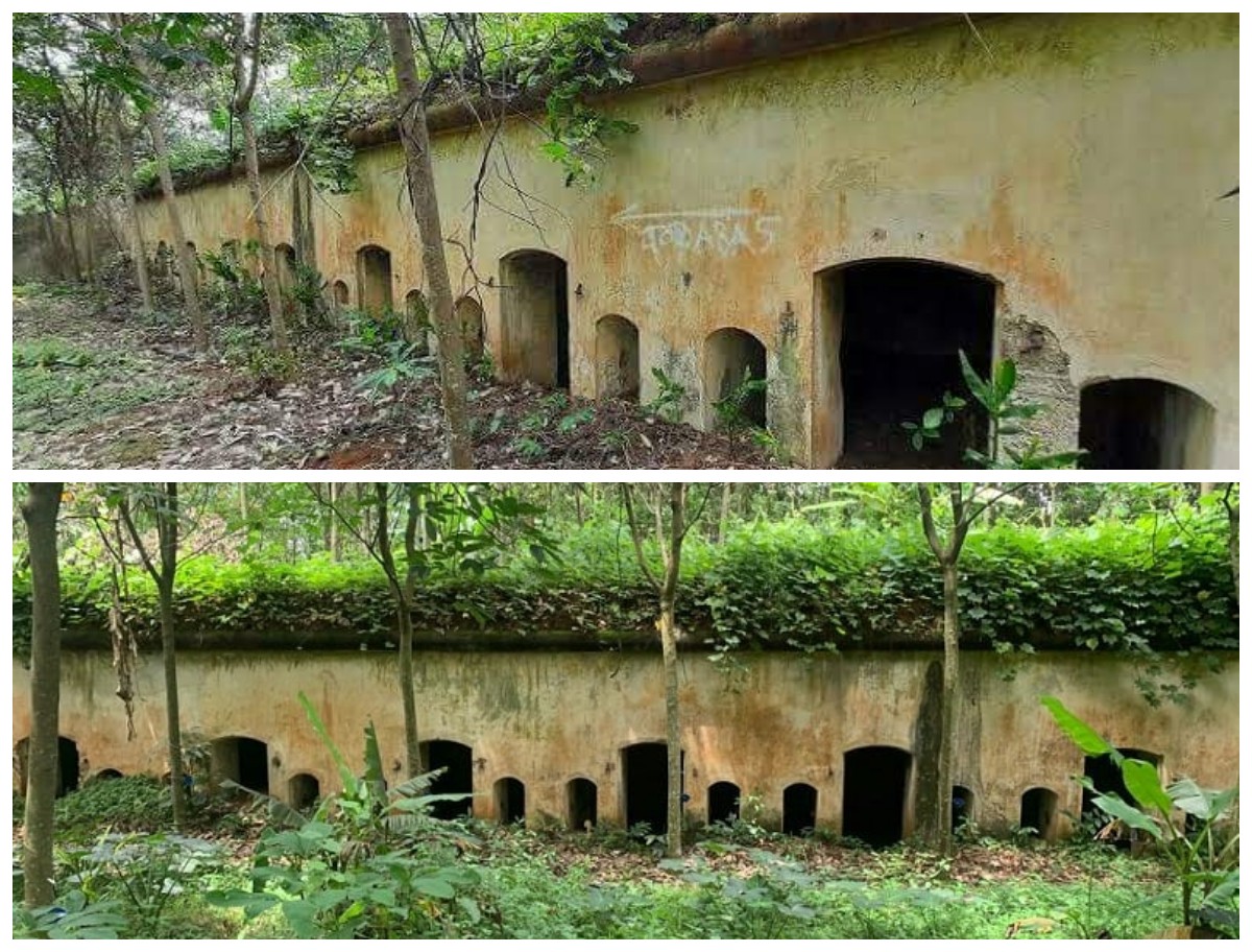 Menelusuri Sejarah Benteng Belanda Tangkil: Jejak Kolonial di Tanah Lampung!