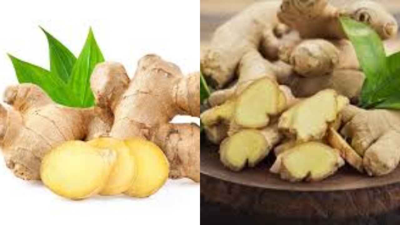 Simak 10 Manfaat Jahe Untuk Kesehatan Tubuh Yang Luar Biasa Khasiatnya!