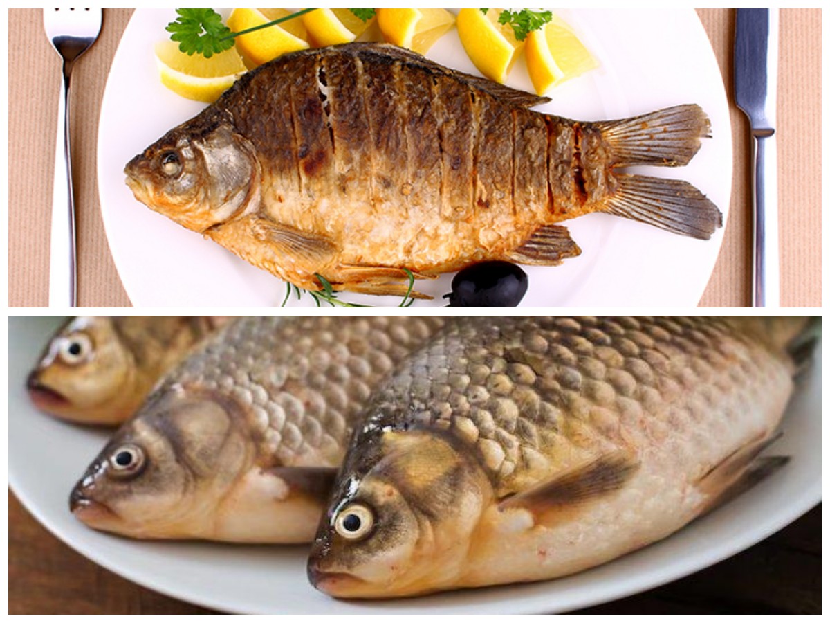 Pilihan Ikan Tawar Rendah Purin yang Cocok untuk Penderita Asam Urat