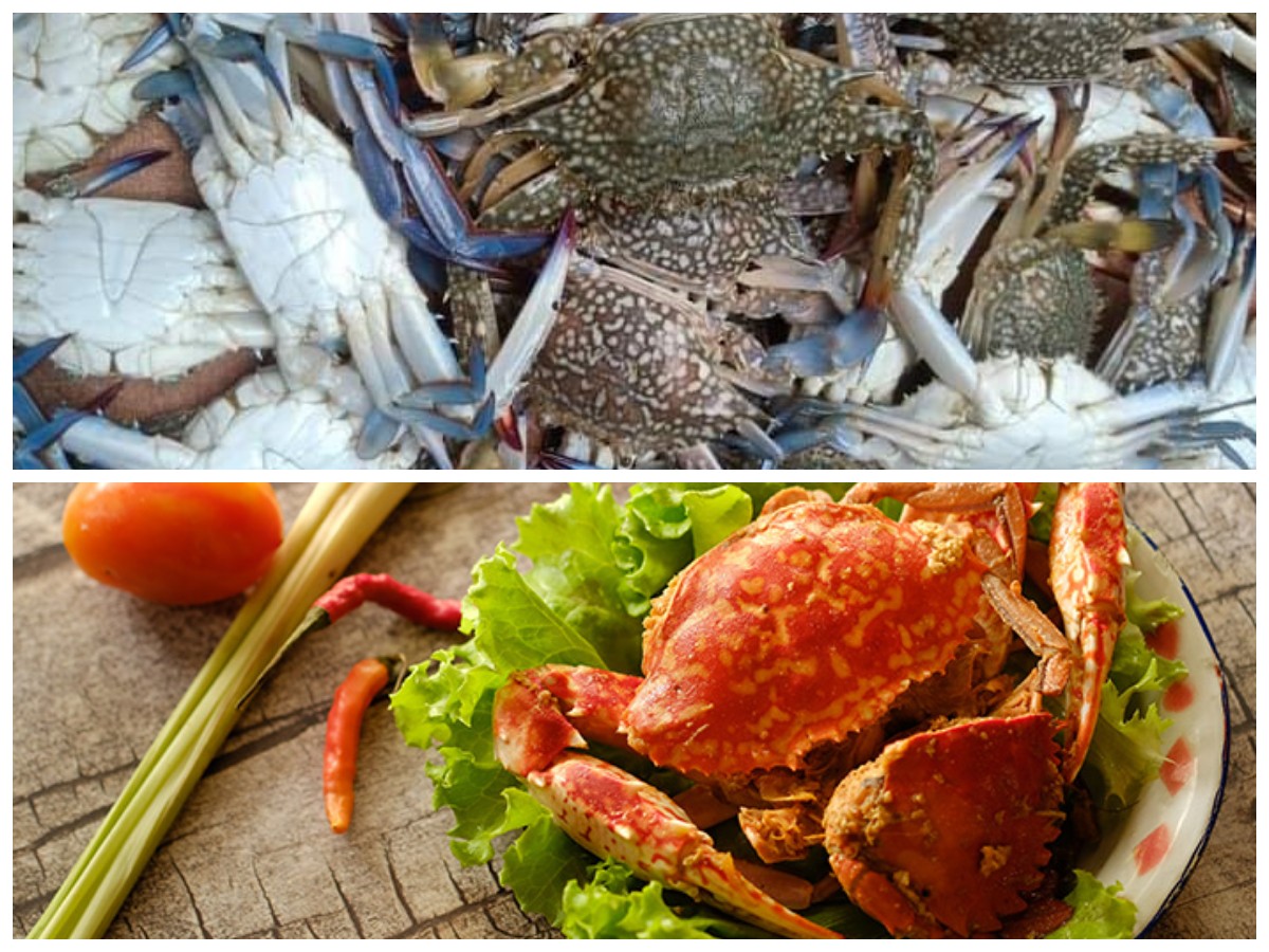 Rahasia Sehat dan Awet Muda dari Rajungan, Simak Kandungan Gizinya!