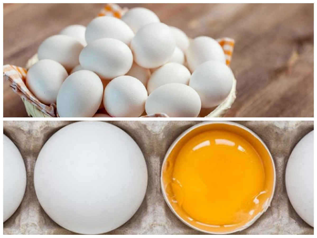 Tak Hanya Lezat, Ini Deretan Manfaat Telur Ayam Kampung untuk Tubuh