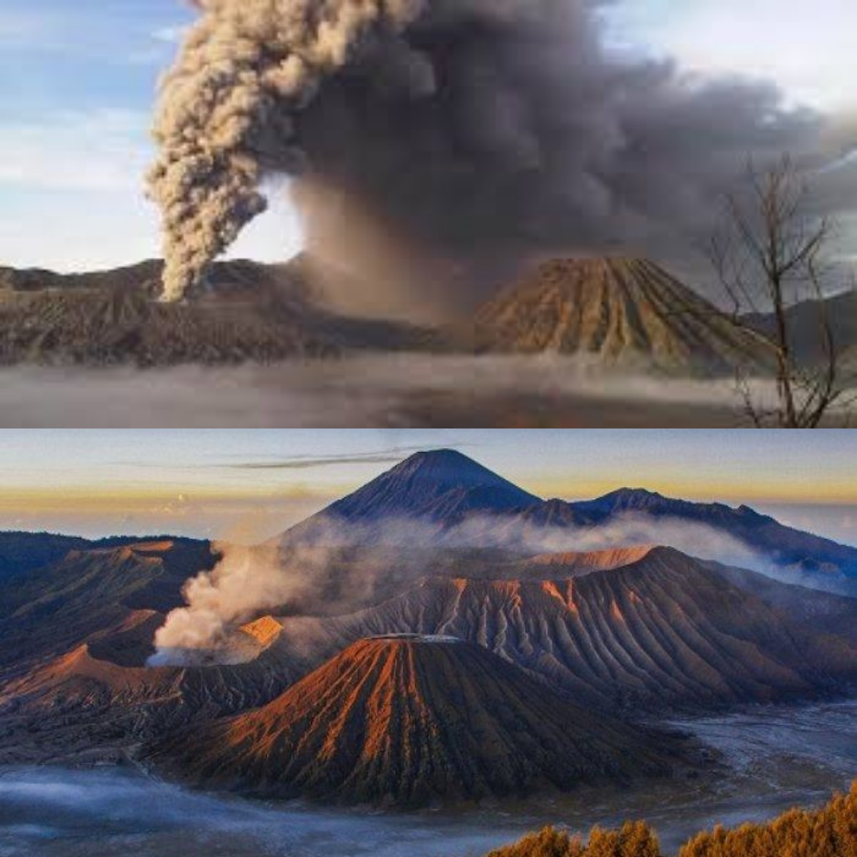 Mengapa Gunung Bromo Begitu Menakjubkan? Temukan Jawabannya!