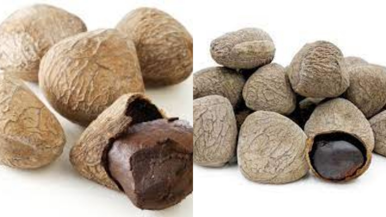  Ini Dia Segudang Manfaat Kluwek Untuk Kesehatan Yang Jarang Diketahui!