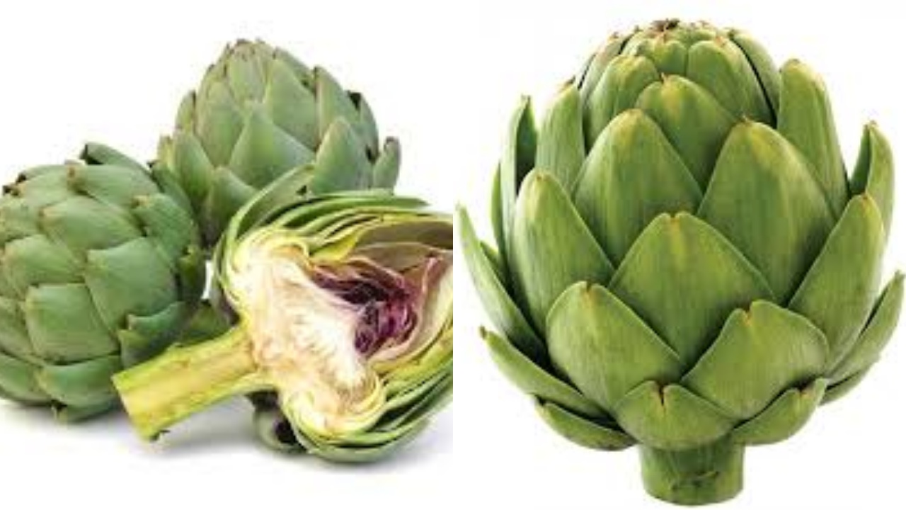 Inilah 8 Kandungan Nutrisi dan Manfaat Artichoke bagi Kesehatan!