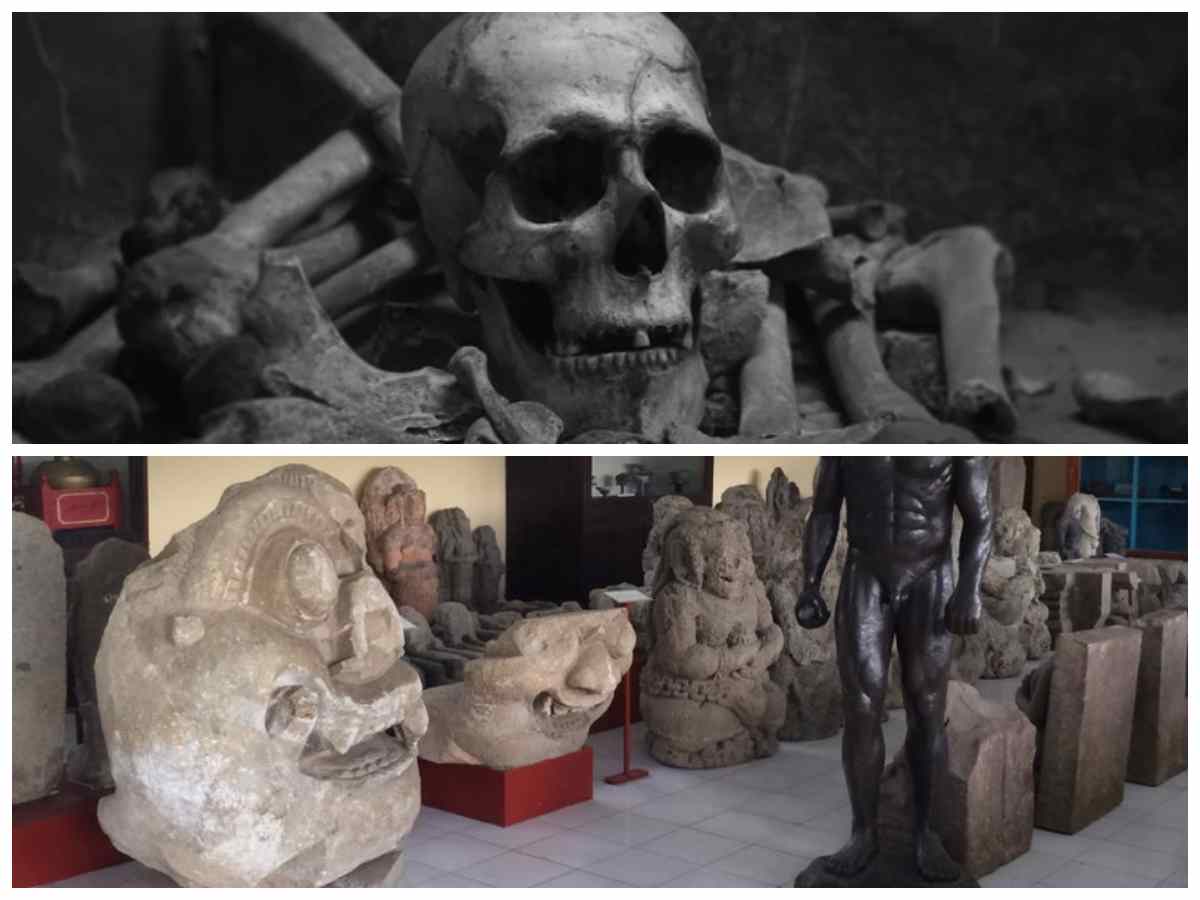 Homo Sapiens Wajakensis: Bukti Kejayaan Peradaban Purba Indonesia di Mata Dunia