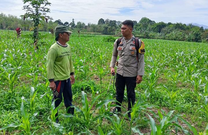 Polres Pagar Alam Ajak Petani Jagung Dukung Swasembada Pangan