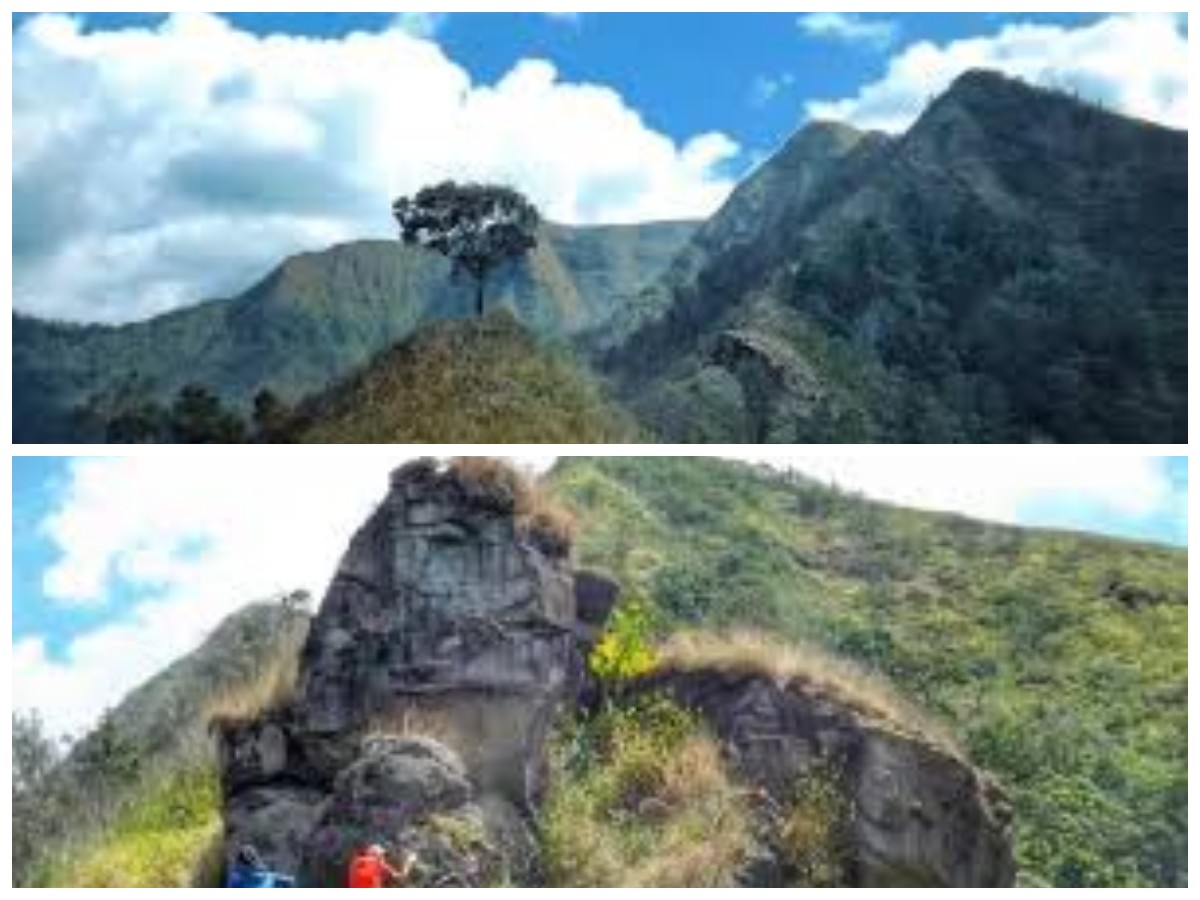 Menaklukkan Gunung Sanggar: Keindahan Alam dan Tantangan di Puncak Kedua Tertinggi NTB