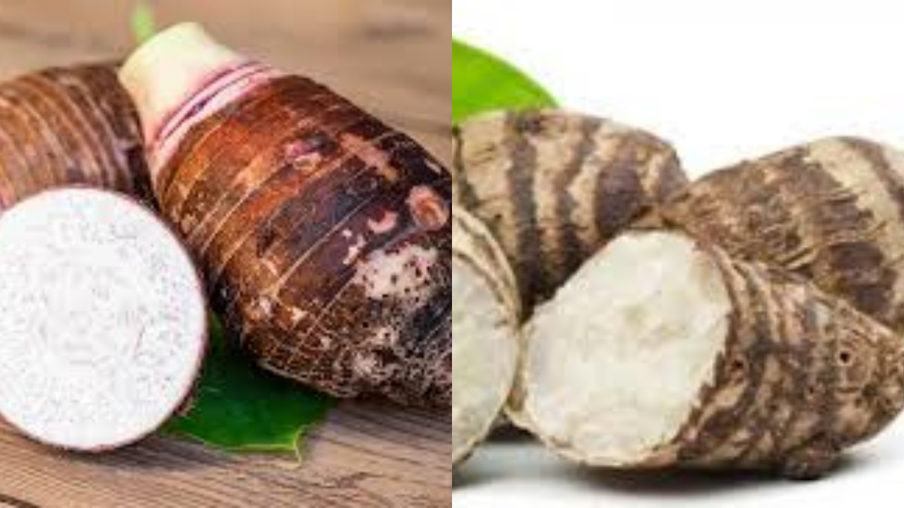 Mari Ketahui Segudang Manfaat Talas Untuk Kesehatan Tubuih Berikut Penjelasannya!