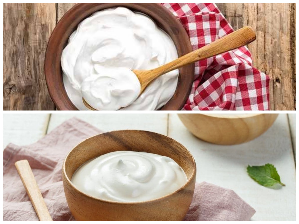 Yoghurt Plain dan Rahasia Kesehatannya: Sumber Gizi Alami yang Tak Terduga