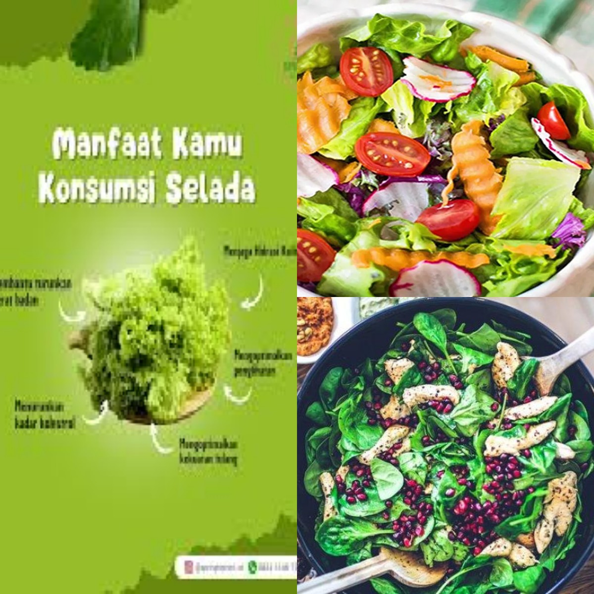 Mau Tulang Sehat? Ini 5 Nutrisi Penting yang Bisa Kamu Dapatkan dari Salad Sayur!