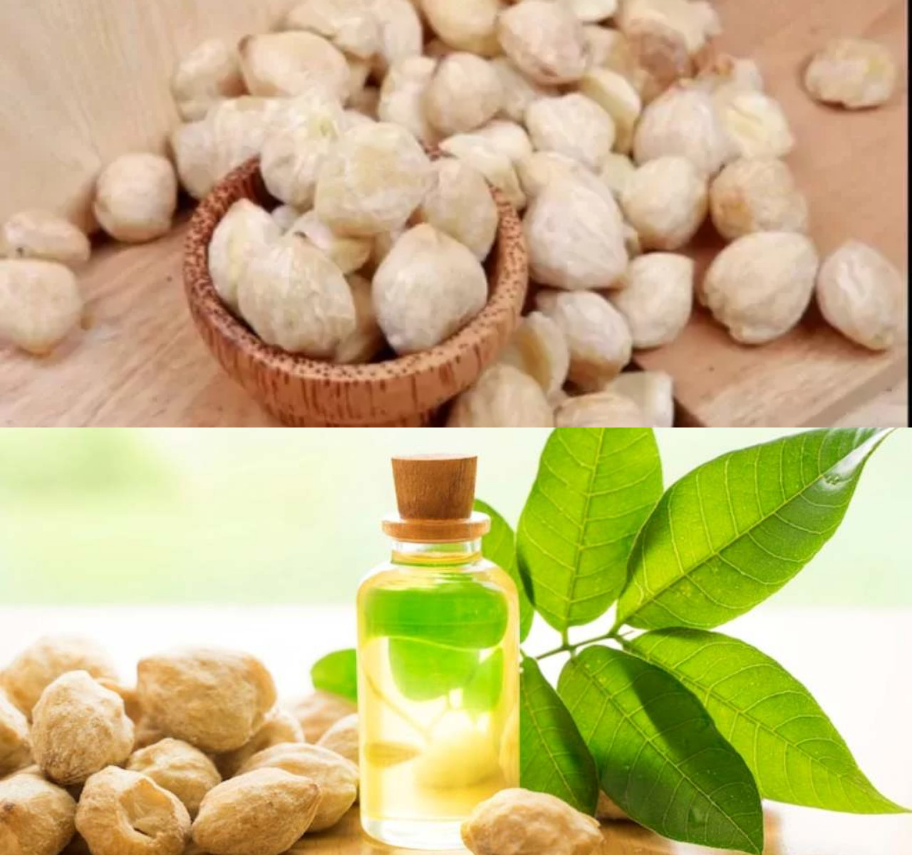  Manfaat Minyak Kemiri untuk Rambut dan Cara Menggunakannya!