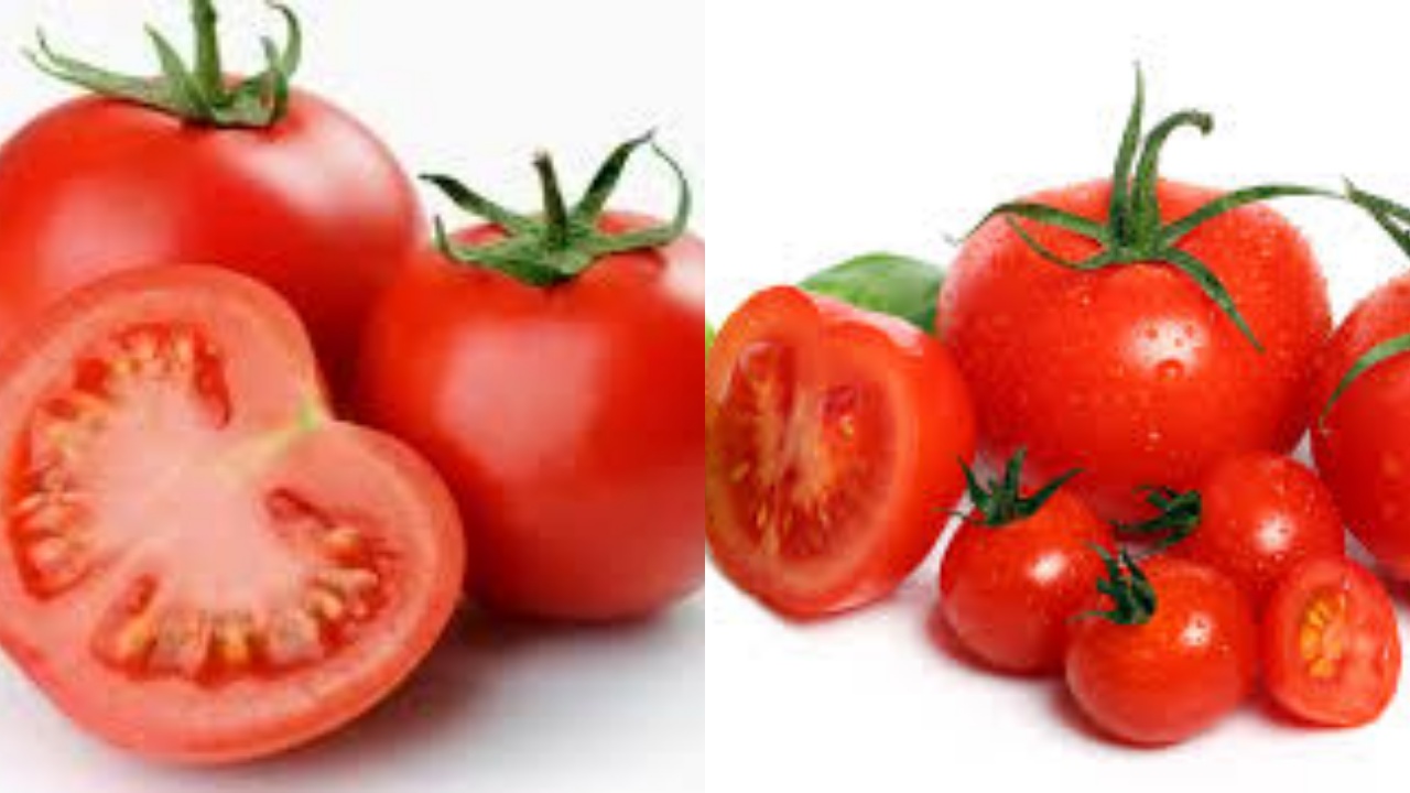 8 Manfaat Tomat untuk Tubuh, Cegah Kolesterol Hingga Cerahkan Kulit!