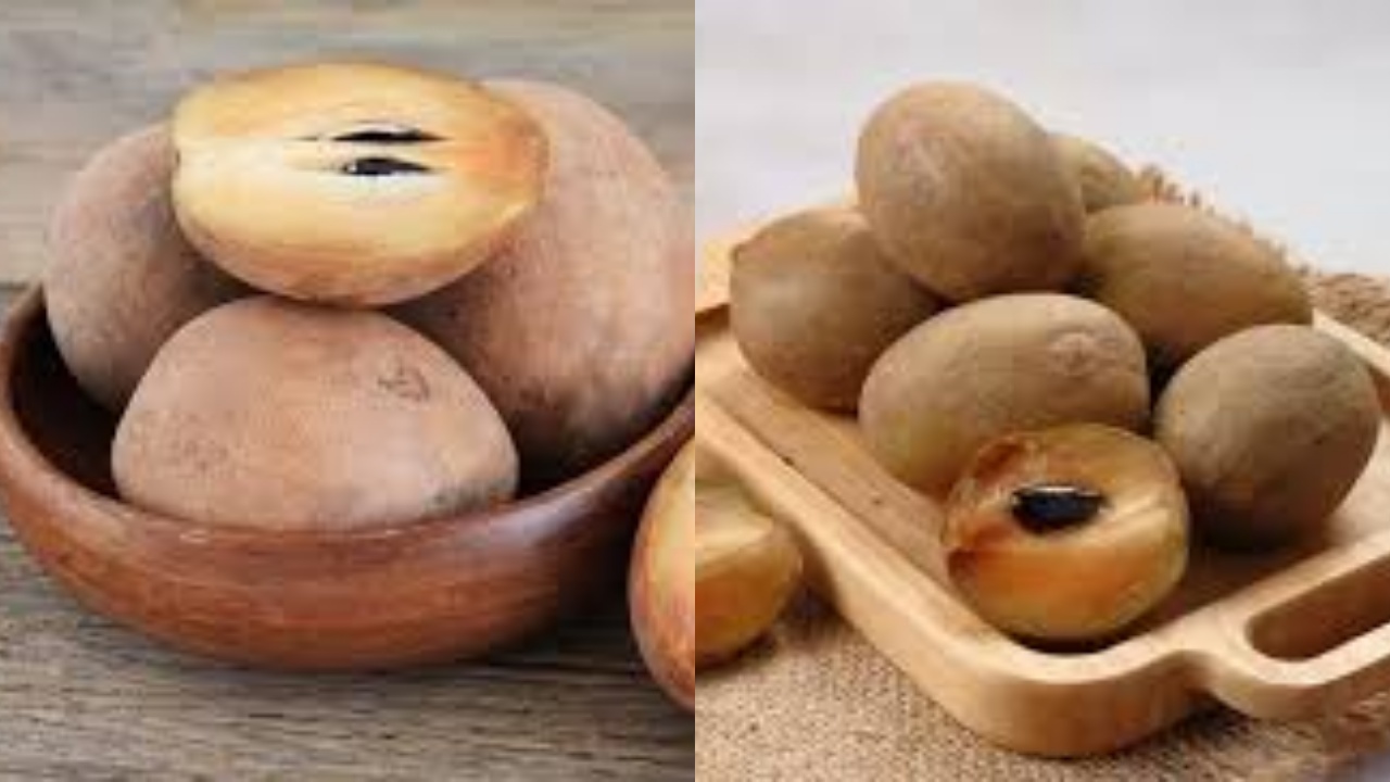 Jarang Diketahui Ini 6 Manfaat Sawo Untuk Kesehatan Ibu Hamil Yang Luar Biasa!