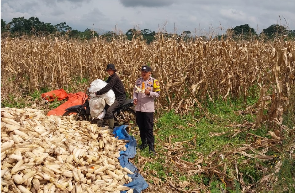 Polres Pagar Alam Dukung Program Ketahanan Pangan Presiden RI