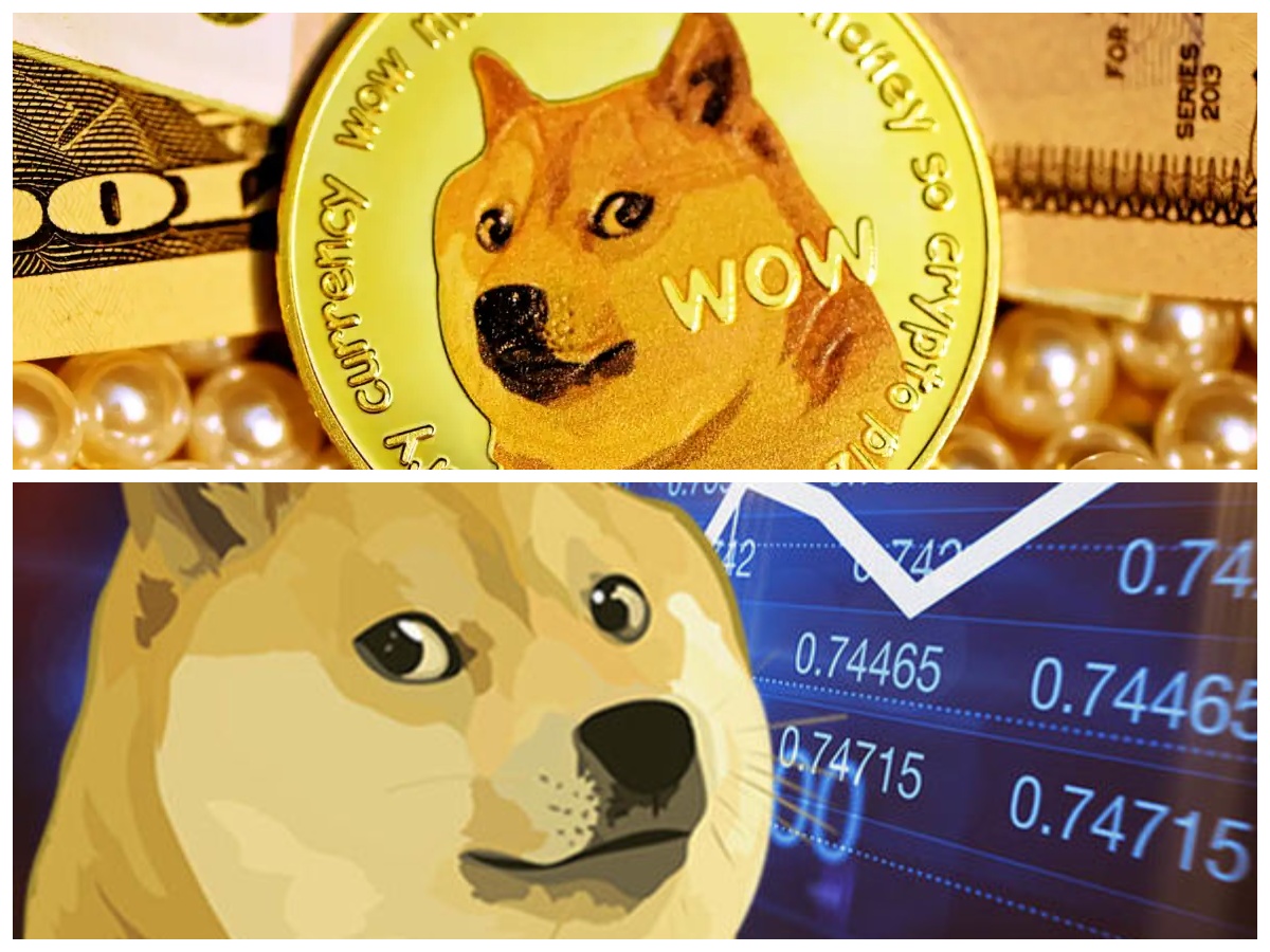 DogeChain Bakal Setop Operasi, Pengguna Diminta Segera Tarik Dogecoin (DOGE)