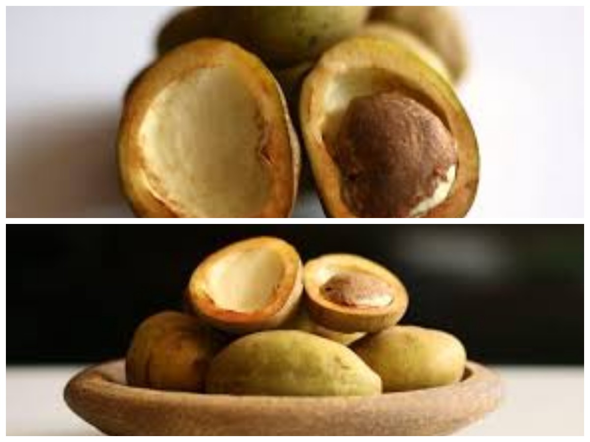 Kaya Nutrisi, Inilah Manfaat Buah Namnam untuk Menunjang Kesehatan Tubuh