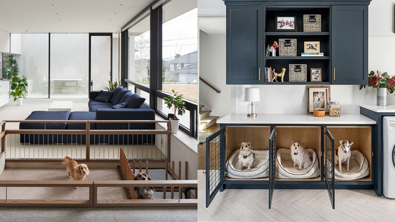 Desain Rumah Ramah Hewan Peliharaan: Rapi, Nyaman, dan Aman untuk Si Kesayangan!