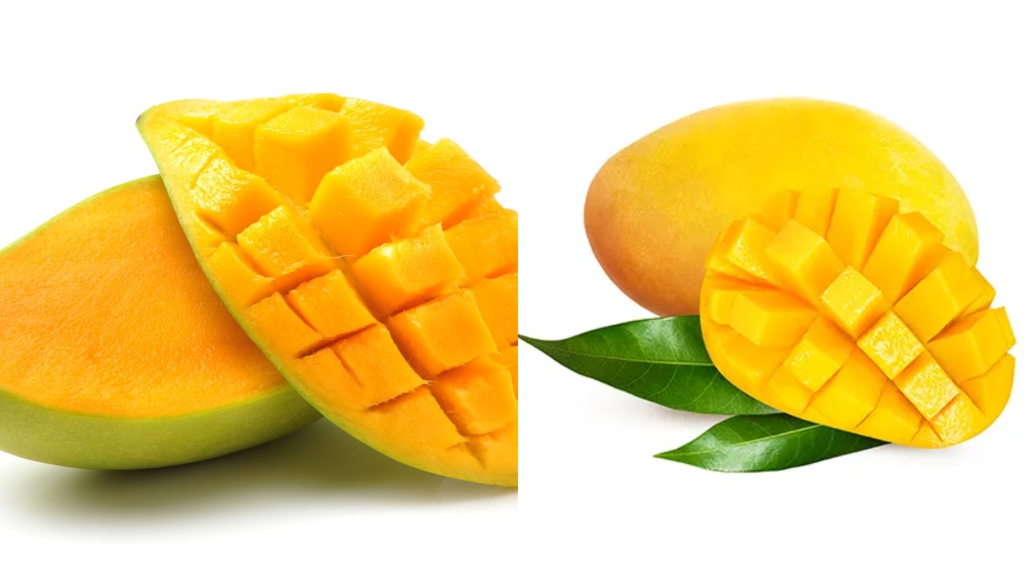 Teryata Ini Guys Manfaat Dari Mangga Untuk Ibu Hamil Mampu Mendukung Perkembangan Janin! 