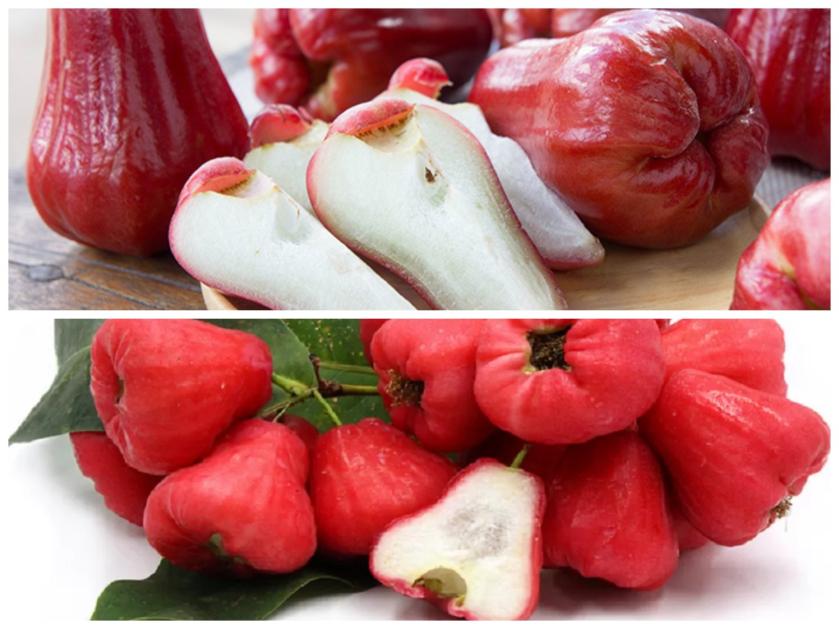 Manfaat Jambu Air untuk Tubuh: 7 Khasiat Sehat dari Buah Manis Ini