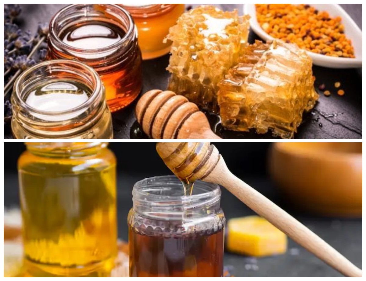 Rahasia Alam dari Sarang Lebah : 7 Manfaat Propolis bagi Kesehatan Tubuh yang Perlu Diketahui!