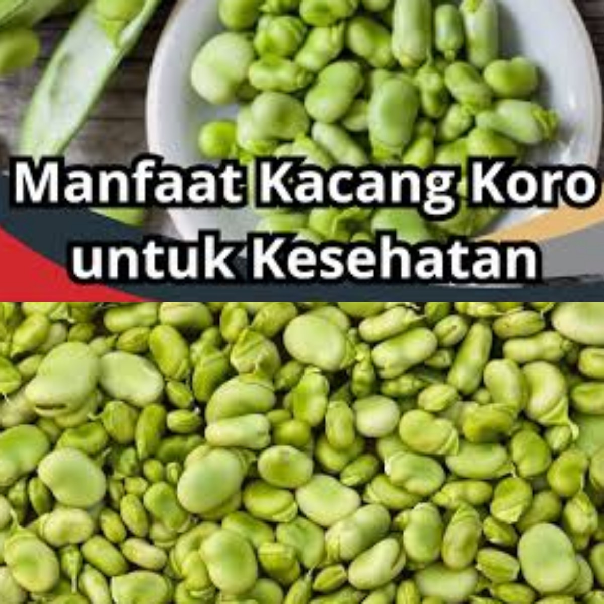 Mau Otak Lebih Tajam? Kacang Koro Bisa Jadi Solusinya!