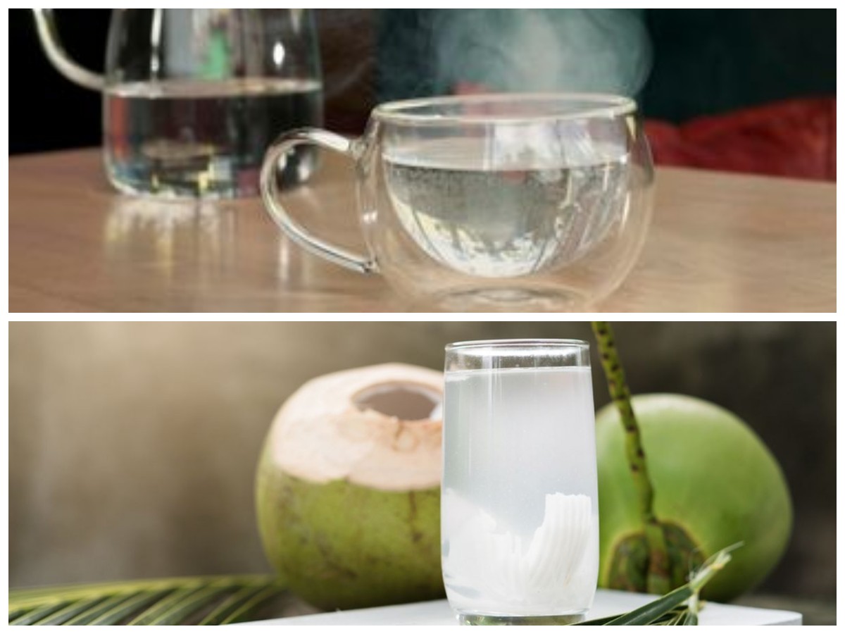 Mana yang Lebih Baik untuk Berbuka: Air Putih, Teh, atau Air Kelapa? Ini Penjelasannya