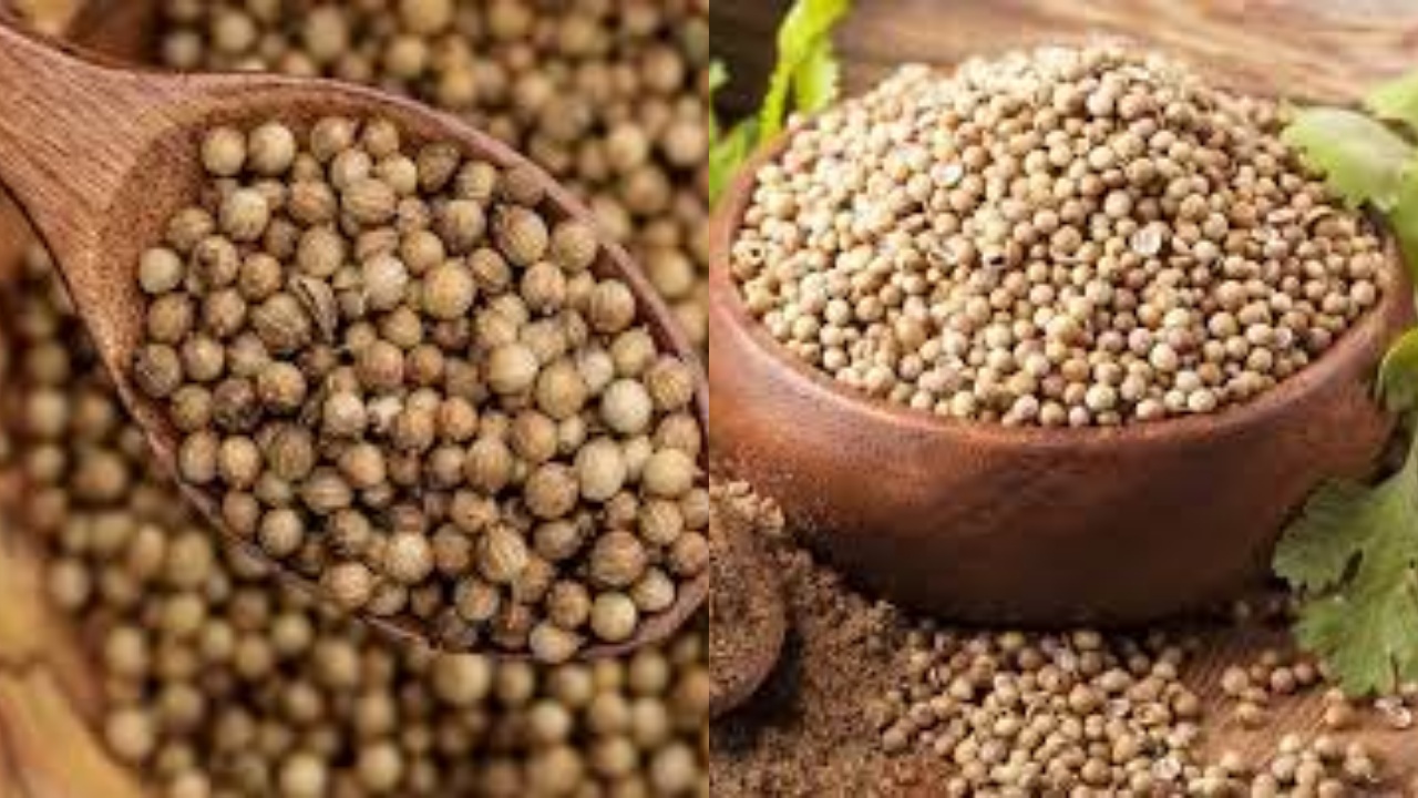 Inilah 8 Manfaat Ketumbar Untuk Jantung dan Kesehatan Yang Perlu Kalian Tahu!