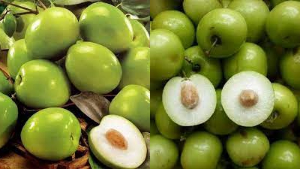 Inilah 9 Manfaat Buah Bidara Untuk Kesehatan Tubuh Yang Luar Biasa!