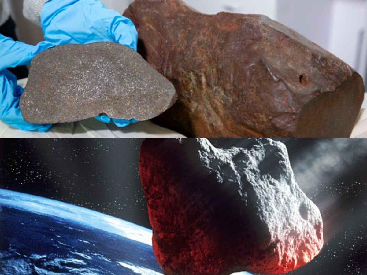 Batu Ajaib dari Langit? Mengupas Kisah Penemuan Meteorit Maryborough yang Menggemparkan!
