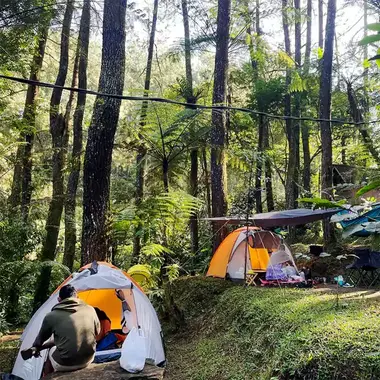 Menggugah Jiwa Petualang, 5 Rekomendasi Tempat Camping di Bogor yang Cocok Untuk Healing!