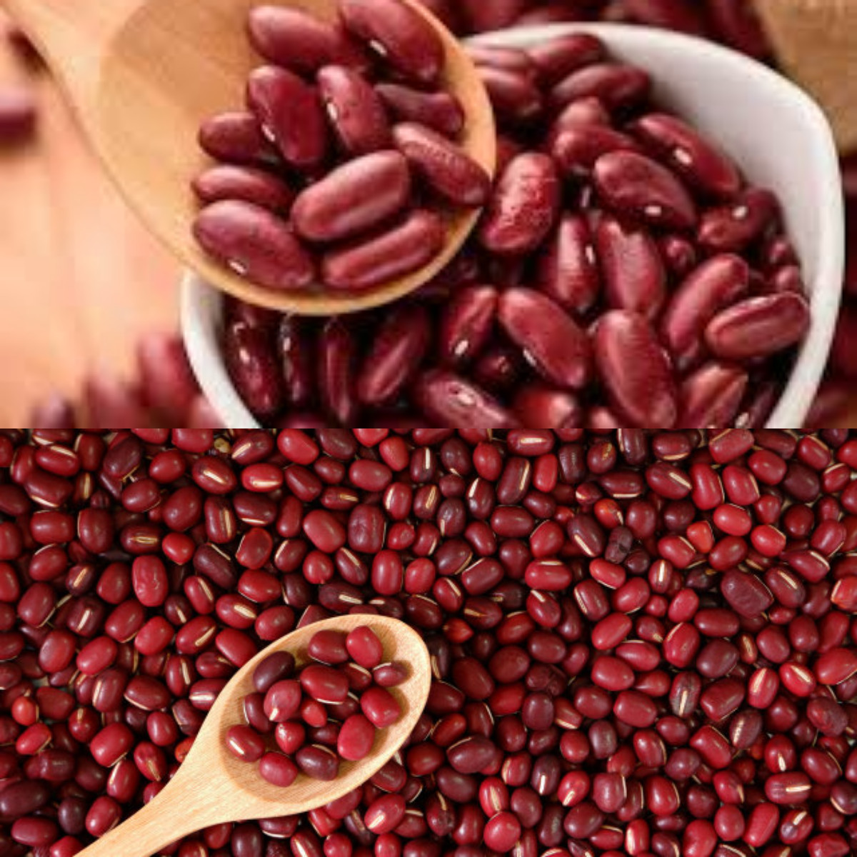 Yang Harus Diketahui 6 Keuntungan Kacang Merah untuk Kesehatan Tubuh!