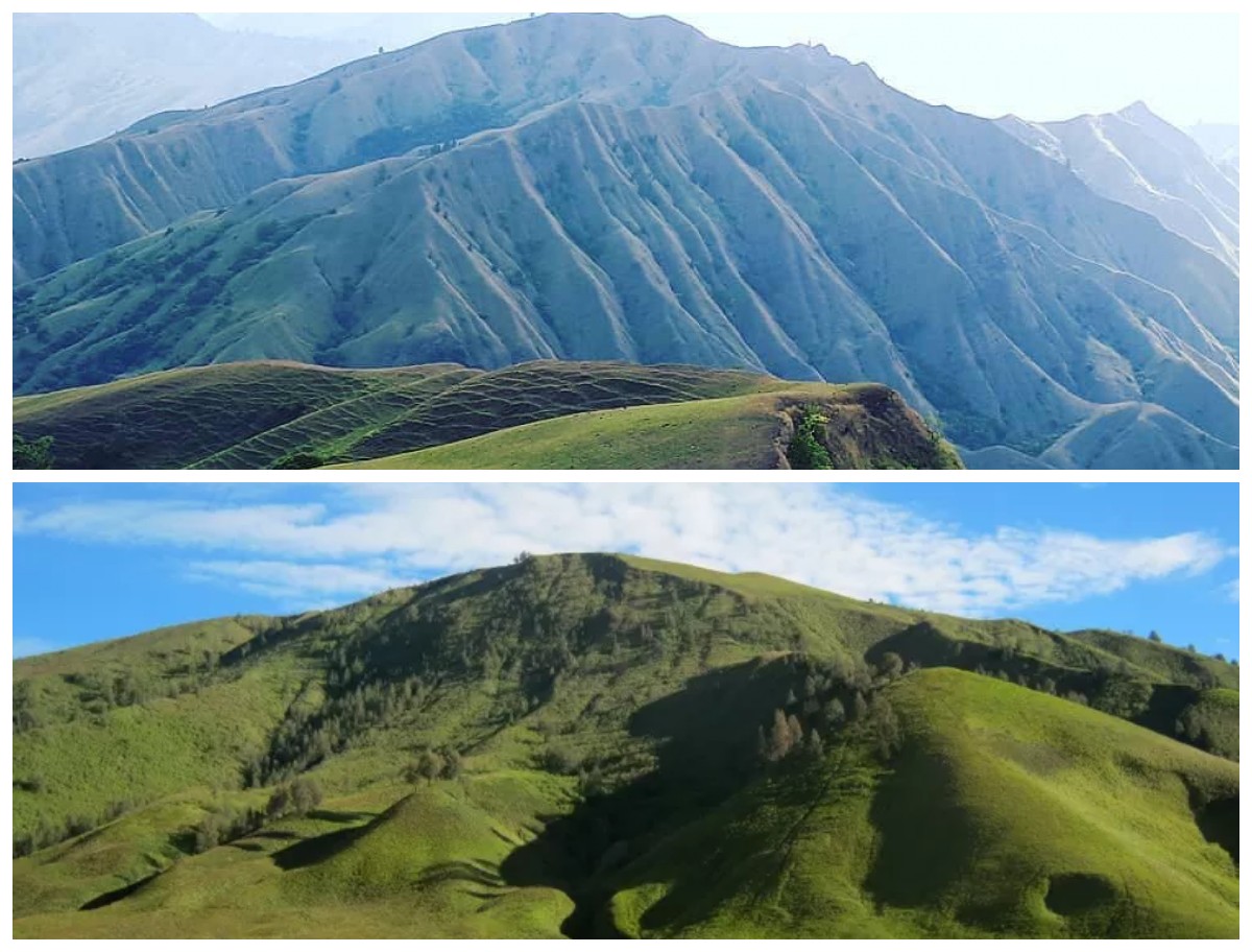 Sejarah Bukit Teletubbies: Pesona Alam dan Warisan Geologis di Balik Nama Unik!