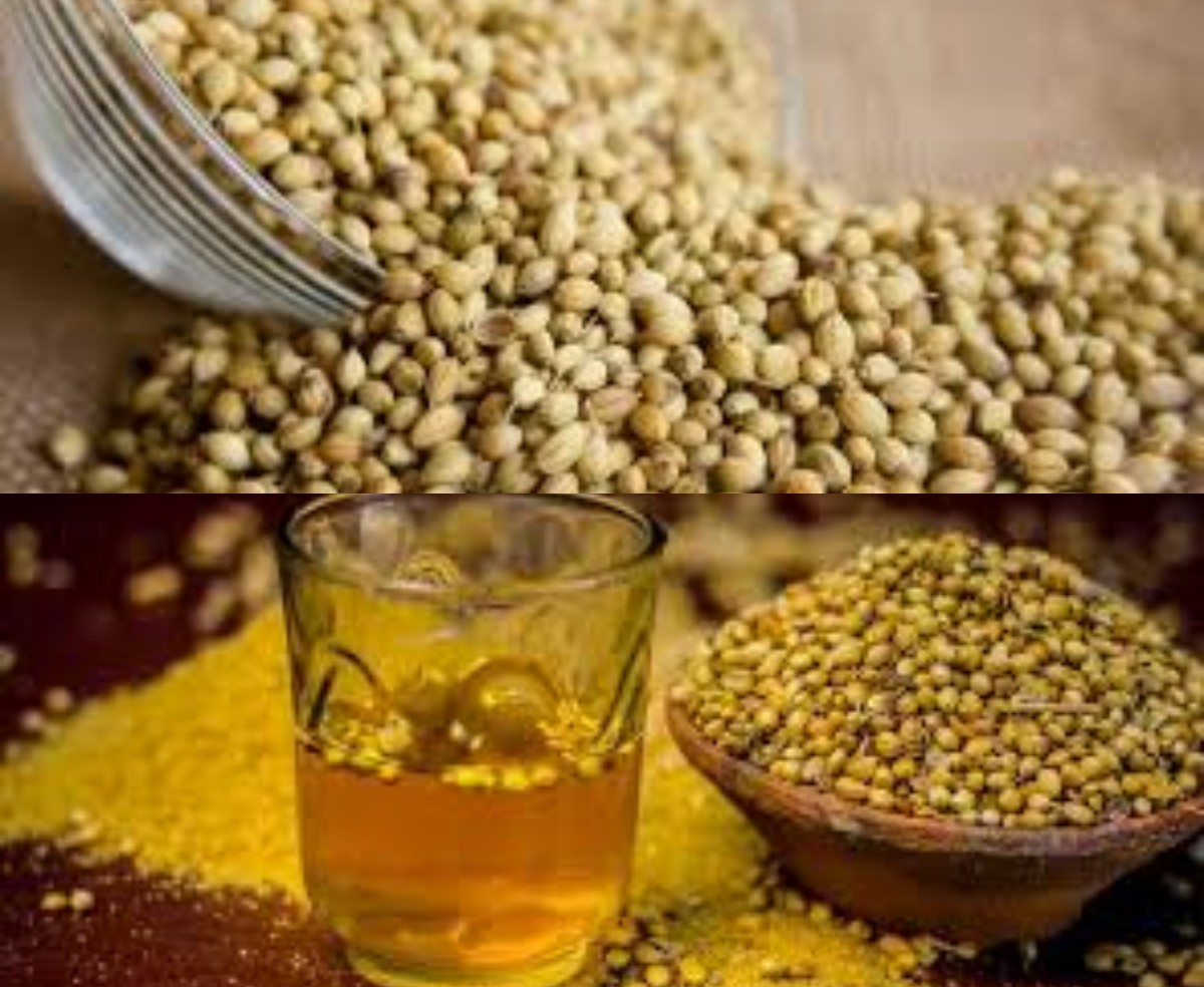 Wajib Tahu! Ternyata Rebusan Air Ketumbar Banyak Manfaatnya Bagi Kesehatan, Cek Disini