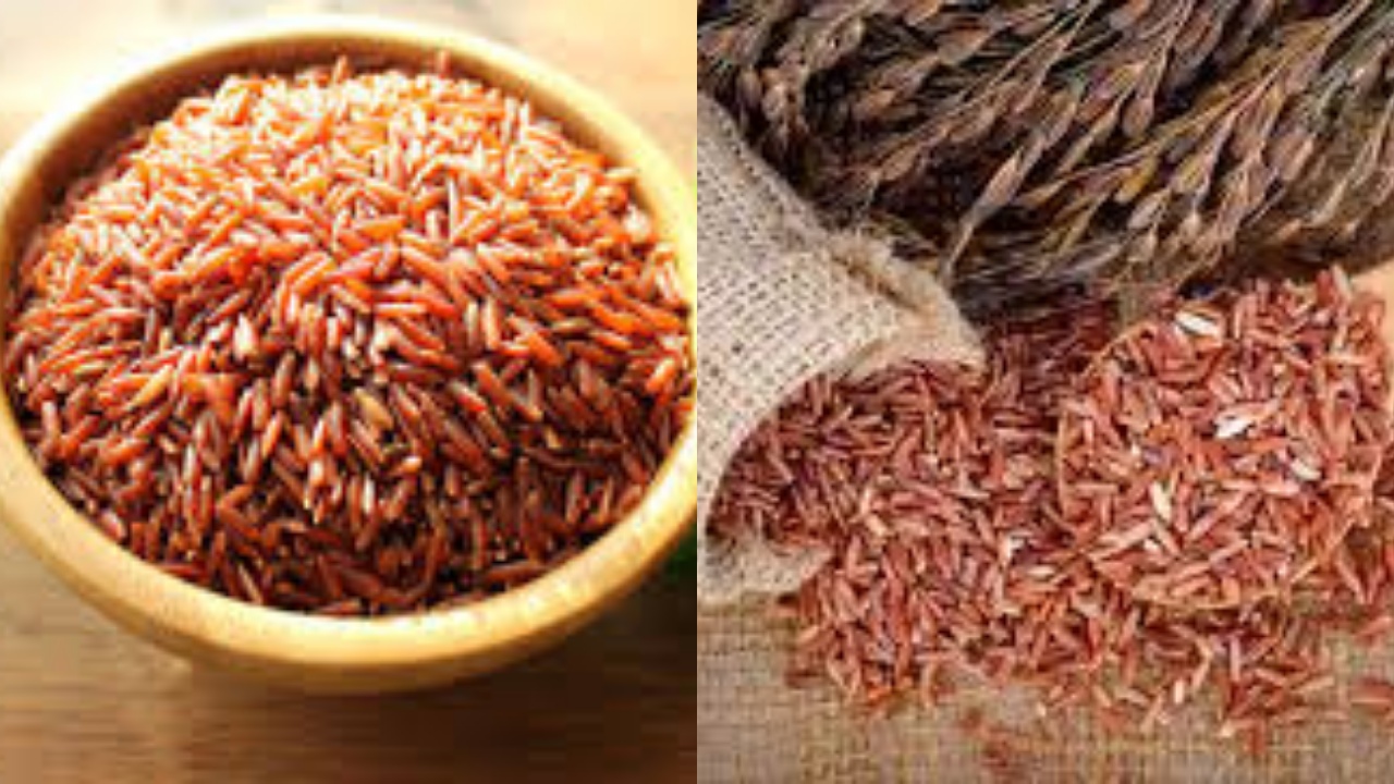 Yuk Ketahui! 8 Manfaat Beras Merah Untuk Kesehatan Tubuh