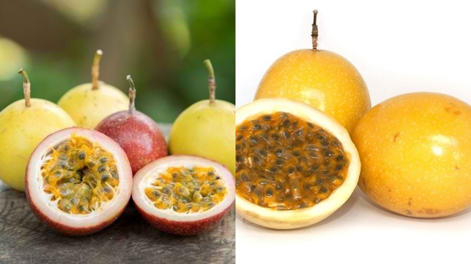 Perpaduan Manis Dan Asam Yang Menyegarkan: Inilah Manfaat Buah Markisa Bagi Kesehatan Tubuh