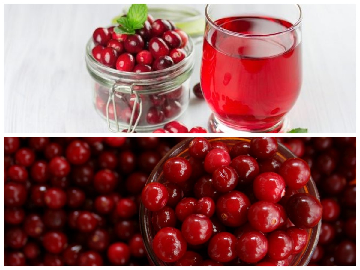 Cranberry dan Ragam Manfaatnya bagi Kesehatan Tubuh yang Perlu Kamu Tahu