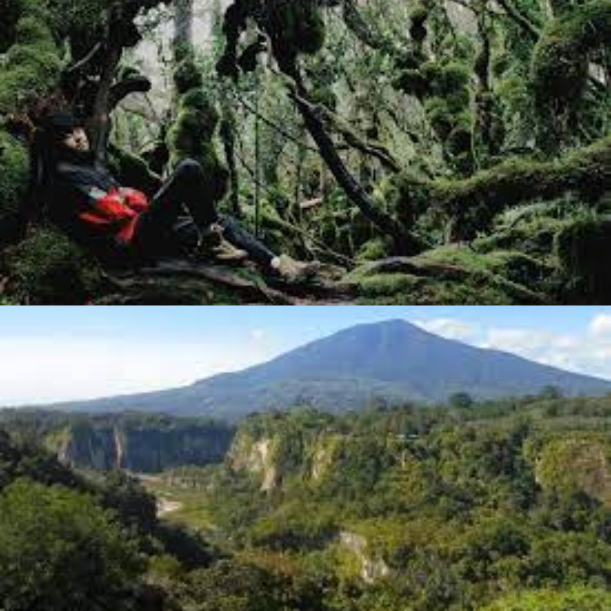 Dibalik Misterinya, Inilah Pesona Wisata yang Spektakuler di Gunung Singgalang 