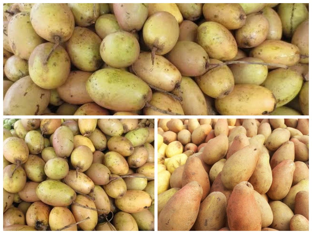 Mengungkap Manfaat Buah Kemang bagi Kesehatan Tubuh: Kaya Nutrisi dan Khasiat Tradisional!