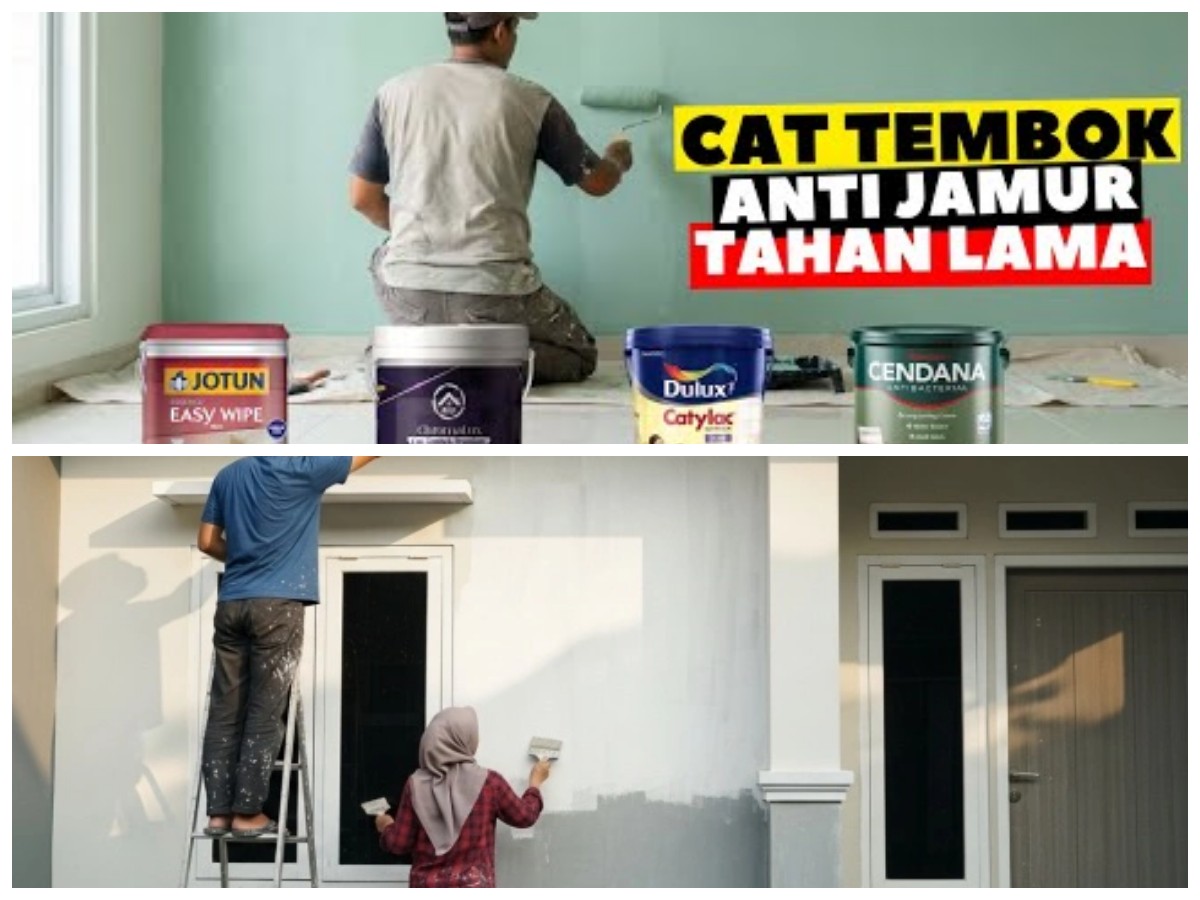 Tak Takut Lembap! 5 Rekomendasi Cat Tembok Anti Air yang Awet dan Anti Jamur