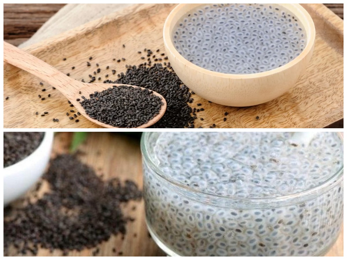 Rahasia Kesehatan dari Biji Selasih, Si Kecil Berkhasiat Tingg