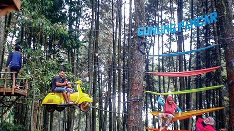 Melarikan Diri ke Surga Hijau, Eksplorasi Keindahan Hutan Pinus Gunung Pancar di Bogor