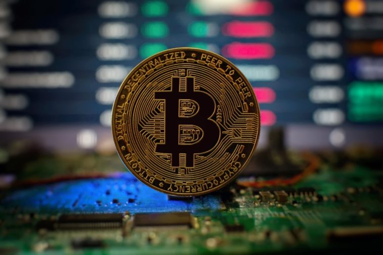 Trader Kripto Berpengalaman Menganalisis Kenaikan Harga Bitcoin dan Pengaruh Politik Terkini