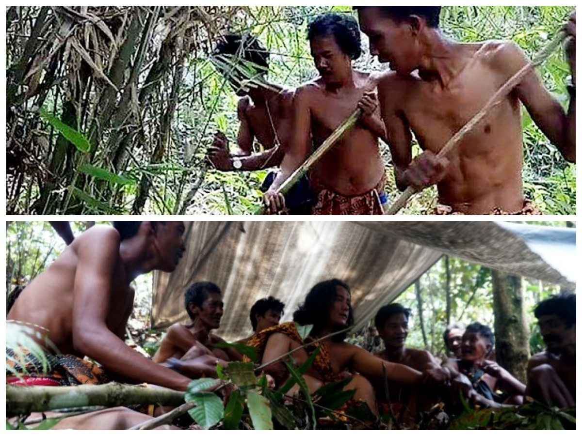 Menelusuri Tradisi Suku Anak Dalam: Makna Ritual Melangun dan Keteguhan Hukum Adat