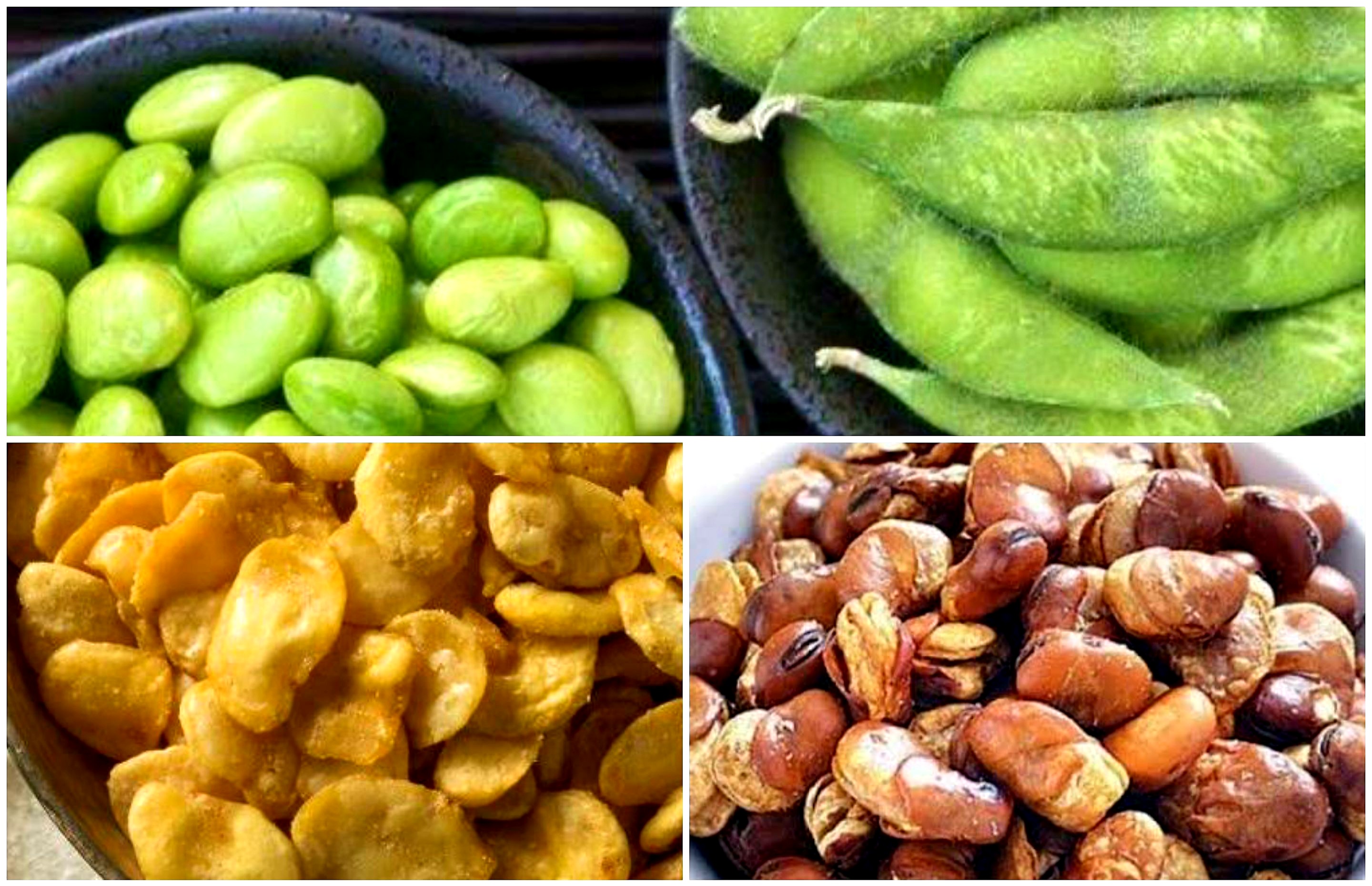 Kacang Koro. Camilan Enak dan Bermanfaat Untuk Menjaga Jantung Tetap Sehat