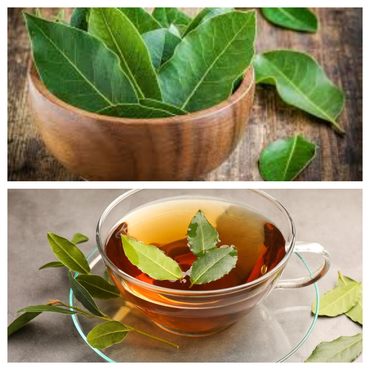 Yuk coba! Daun salam punya banyak manfaat, bisa atasi sakit perut dan penyakit lainnya. 