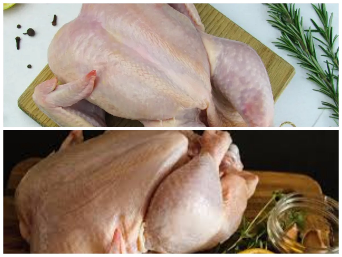 Tips Praktis Menghilangkan Bulu Ayam Kampung Tanpa Mesin, Hasil Cepat