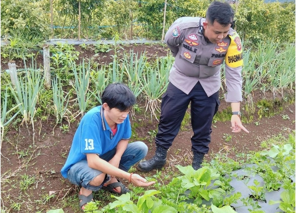 Monitoring Pekarangan Bergizi, Polres Pagar Alam Dukung Ketahanan Pangan